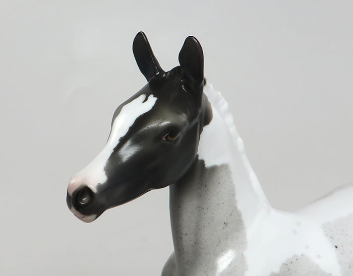 RYLEE-OOAK SPUNKY BLUE  ROAN PAINT FOAL MODEL HORSE 8/11