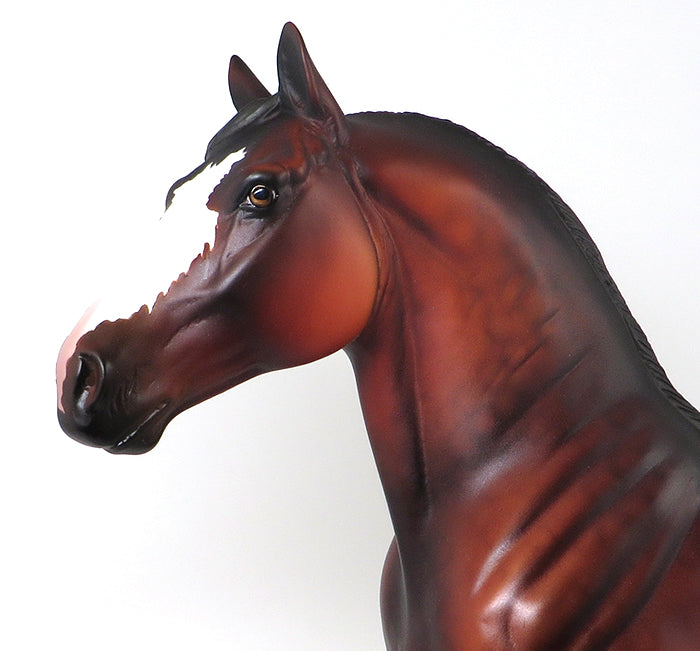 ZUMBA - OOAK SILVER DAPPLE BAY STANDING DRAFTER - 10/23