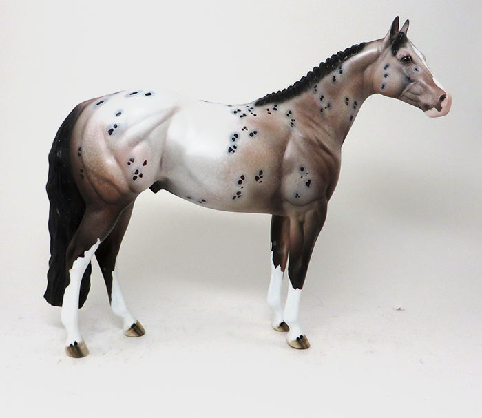 GOOD RIDE - OOAK BAY APPALOOSA - 10/23