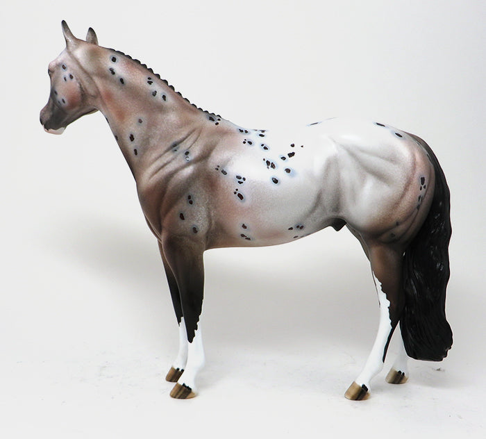 GOOD RIDE - OOAK BAY APPALOOSA - 10/23