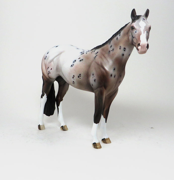 GOOD RIDE - OOAK BAY APPALOOSA - 10/23