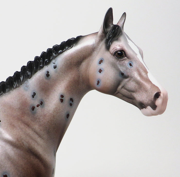 GOOD RIDE - OOAK BAY APPALOOSA - 10/23