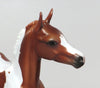 ZARA-OOAK CHESTNUT PAINT FOAL MODEL HORSE 8/15