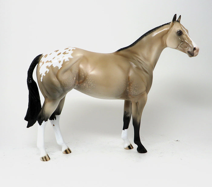 SENSATIONAL ASSETS - OOAK BUCKSKIN APPALOOSA - 10/23