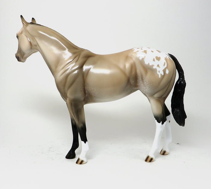 SENSATIONAL ASSETS - OOAK BUCKSKIN APPALOOSA - 10/23