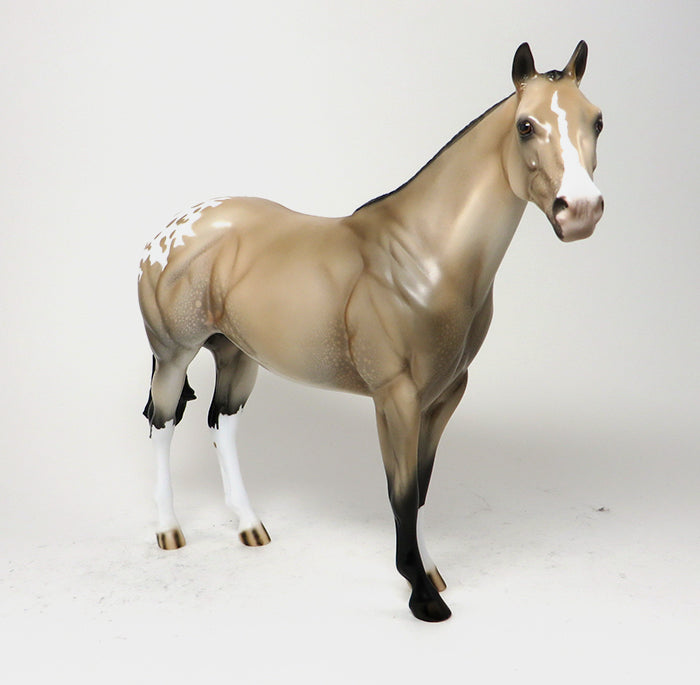 SENSATIONAL ASSETS - OOAK BUCKSKIN APPALOOSA - 10/23