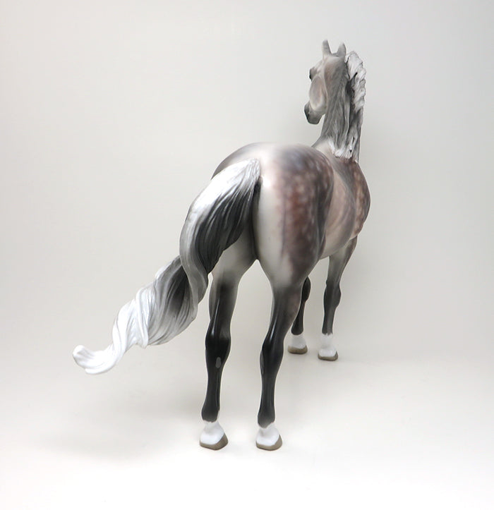 CANDID PHOTO - OOAK DAPPLE ROSE GREY MORGAN MODEL HORSE by SHERYL LEISURE - 2/12
