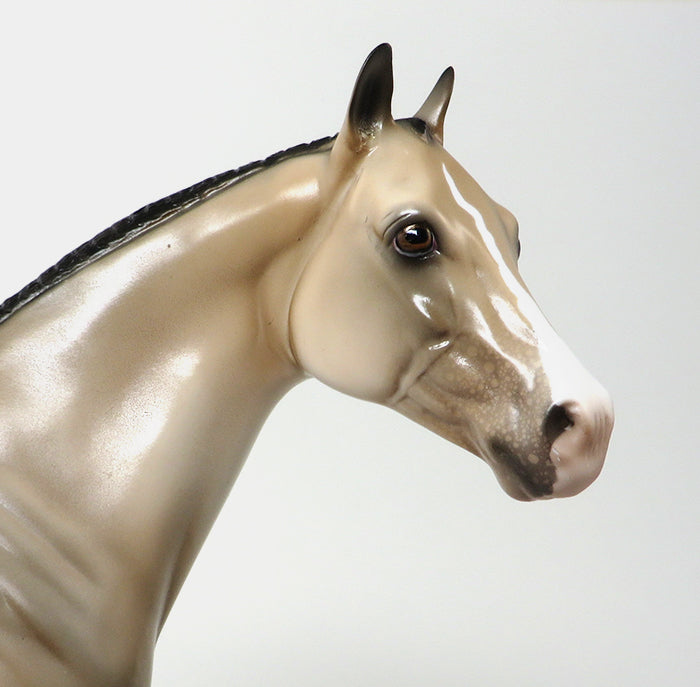 SENSATIONAL ASSETS - OOAK BUCKSKIN APPALOOSA - 10/23