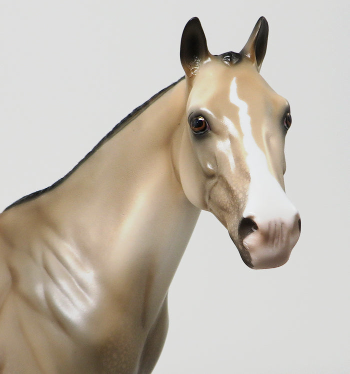 SENSATIONAL ASSETS - OOAK BUCKSKIN APPALOOSA - 10/23