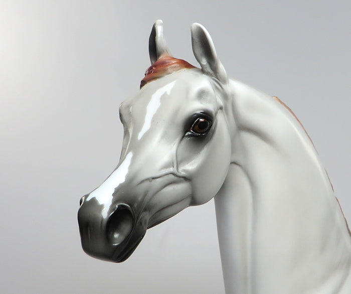 RABBANI &quot;Divine&quot;-OOAK CHESTNUT GOING GREY ARABIAN MODEL HORSE 8/11