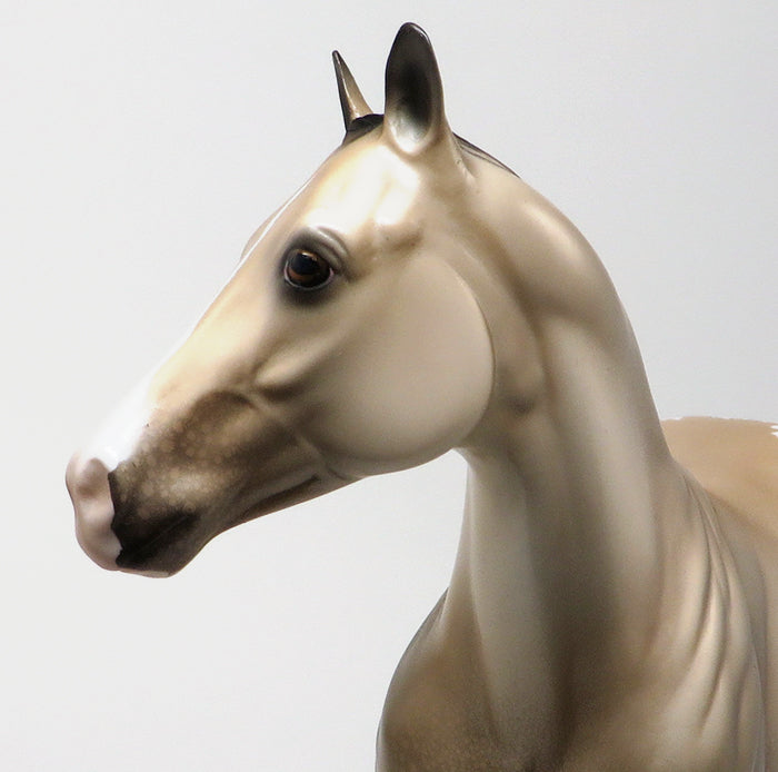 SENSATIONAL ASSETS - OOAK BUCKSKIN APPALOOSA - 10/23