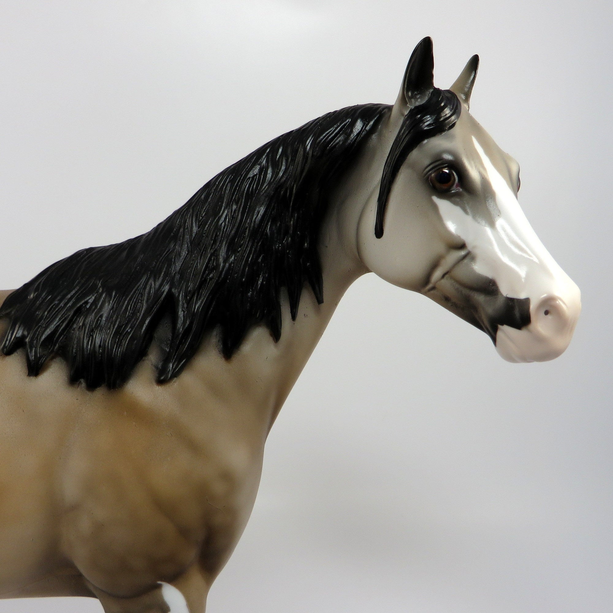 SUN DANCE ROSE~OOAK LIGHT DAPPLE BUCKSKIN PINTO ISH MODEL HORSE BY DAWN QUICK 6/20/17