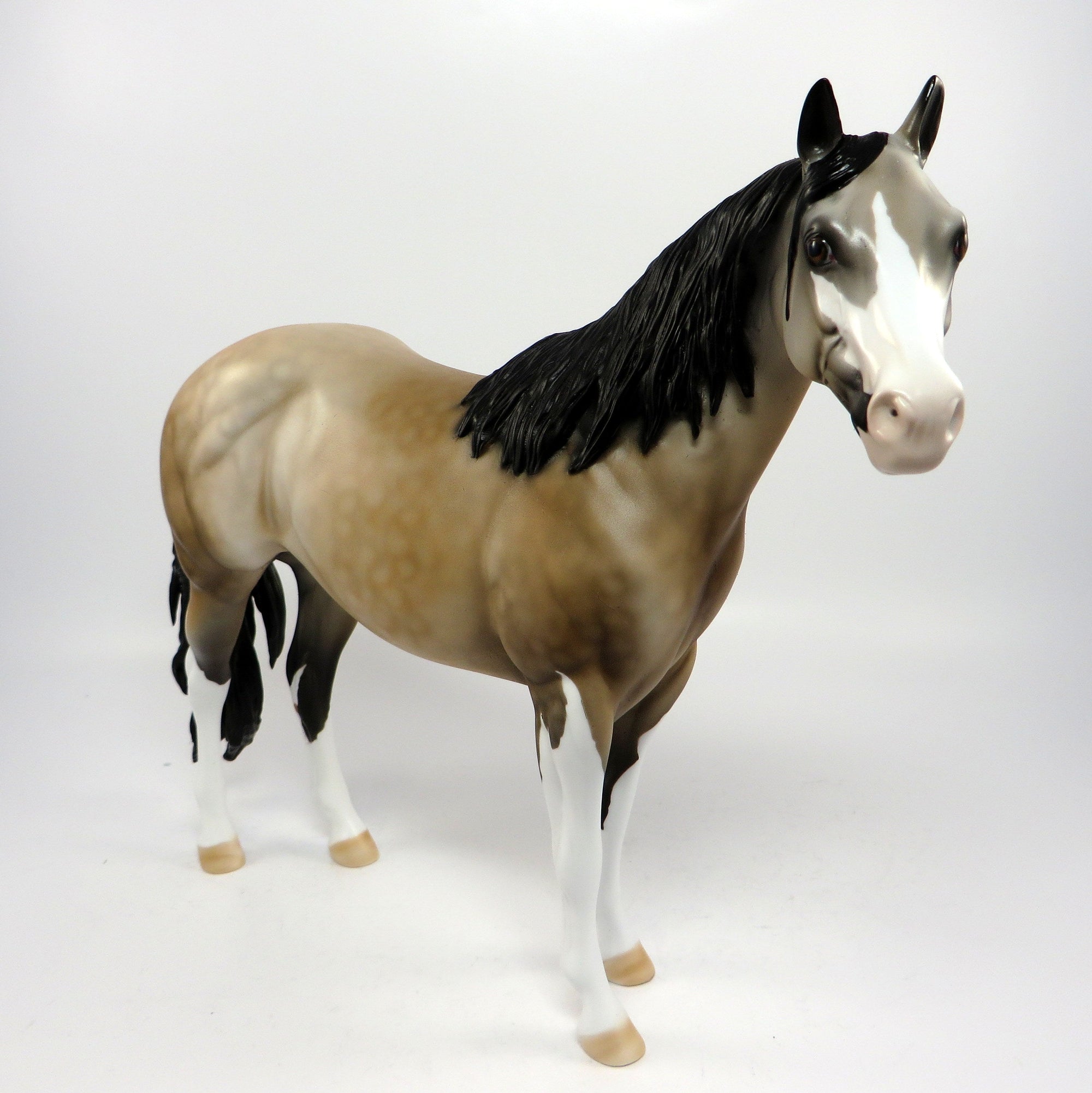 SUN DANCE ROSE~OOAK LIGHT DAPPLE BUCKSKIN PINTO ISH MODEL HORSE BY DAWN QUICK 6/20/17