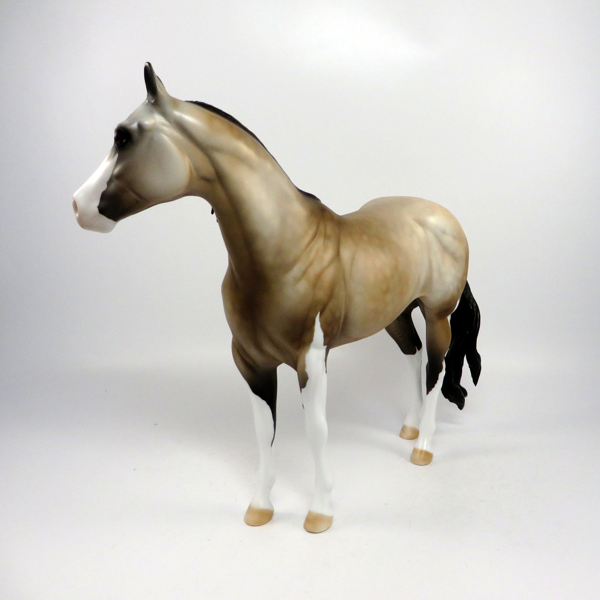 SUN DANCE ROSE~OOAK LIGHT DAPPLE BUCKSKIN PINTO ISH MODEL HORSE BY DAWN QUICK 6/20/17