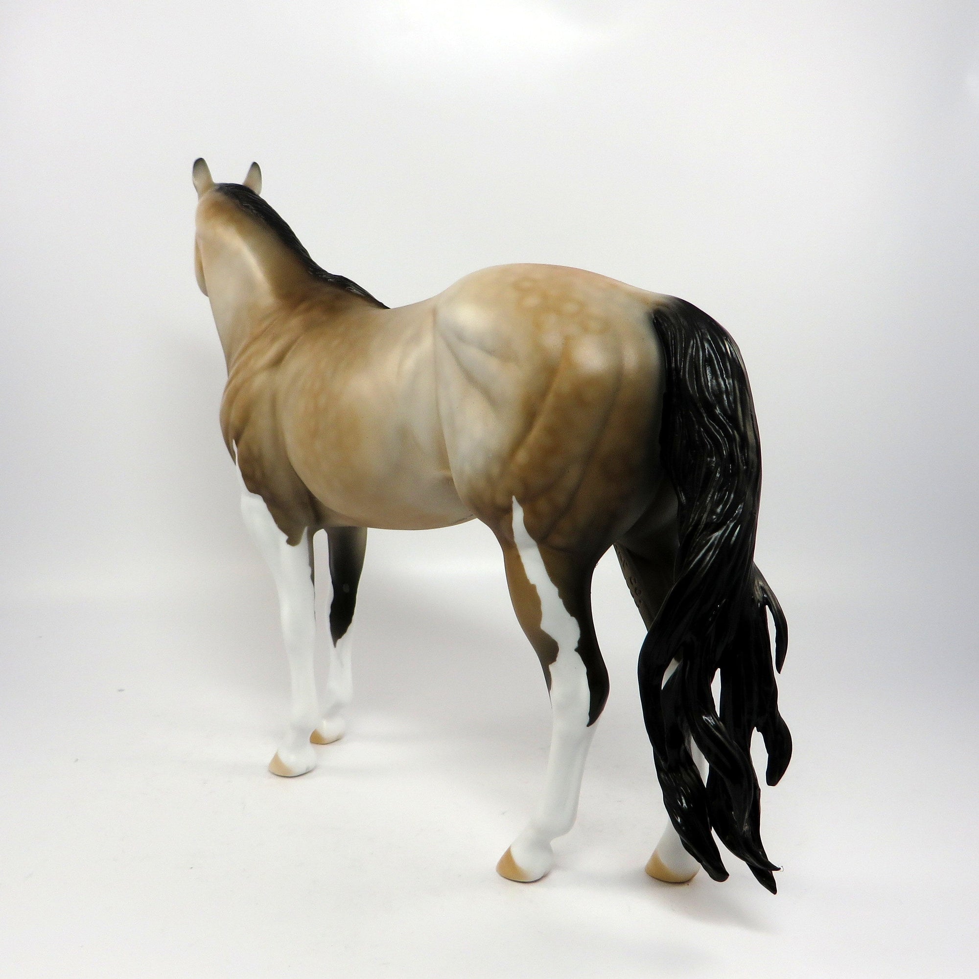 SUN DANCE ROSE~OOAK LIGHT DAPPLE BUCKSKIN PINTO ISH MODEL HORSE BY DAWN QUICK 6/20/17