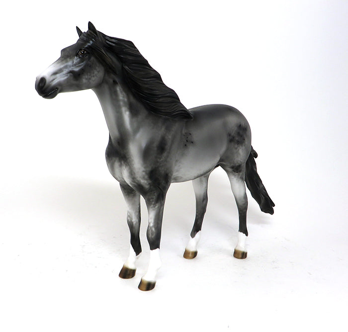 LATIGO - OOAK APPALOOSA MUSTANG - 10/23