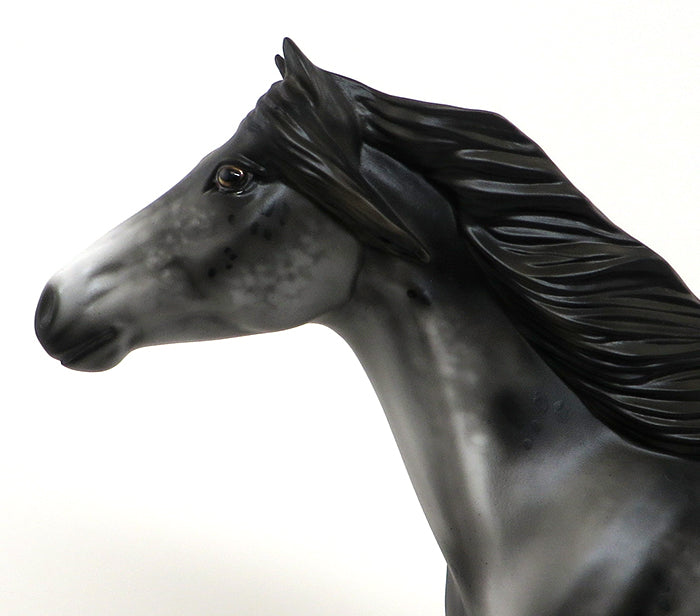 LATIGO - OOAK APPALOOSA MUSTANG - 10/23