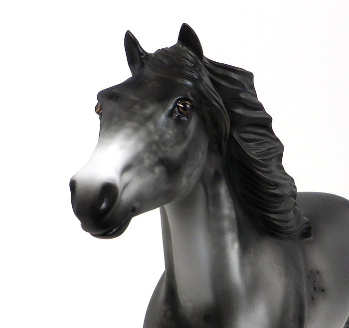 LATIGO - OOAK APPALOOSA MUSTANG - 10/23