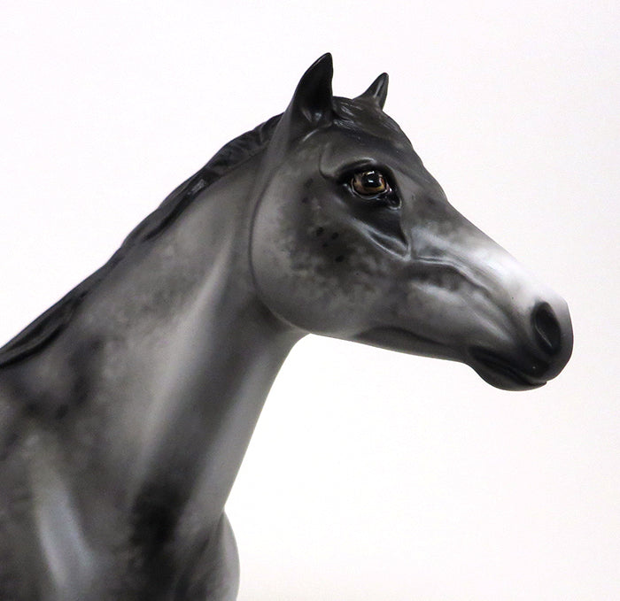 LATIGO - OOAK APPALOOSA MUSTANG - 10/23