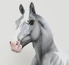 Draft Model Horse