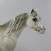 DREAM OF MINE~OOAK LIGHT DAPPLE GREY ISH MODEL HORS EBY DAWN QUICK 6/20/17