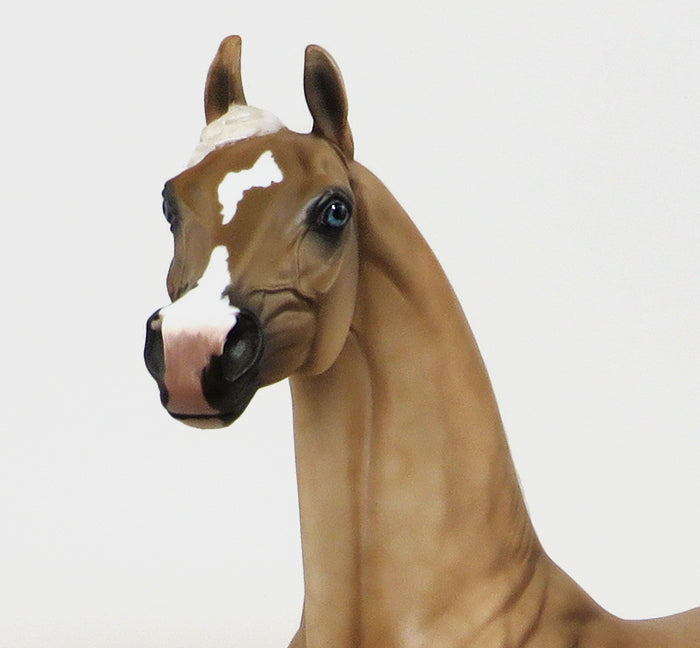 SPYRO - OOAK DAPPLE PALOMINO ARABIAN - 10/23