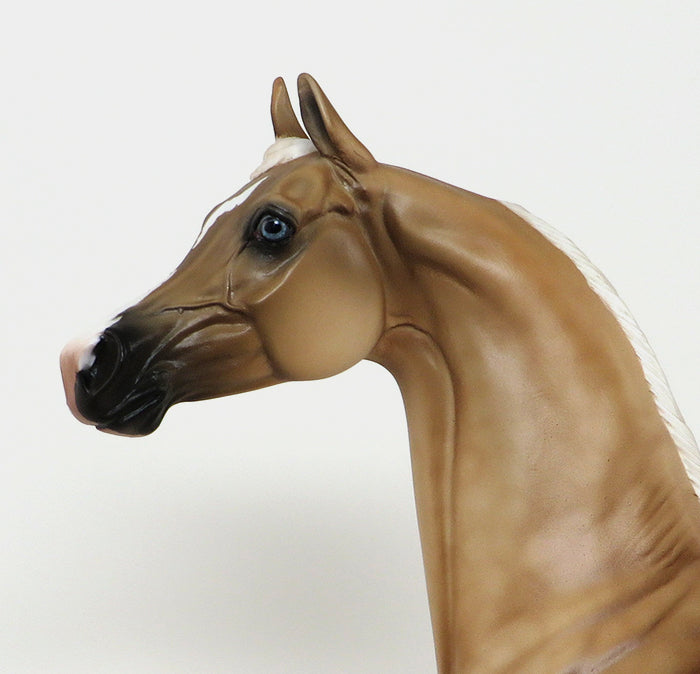 SPYRO - OOAK DAPPLE PALOMINO ARABIAN - 10/23