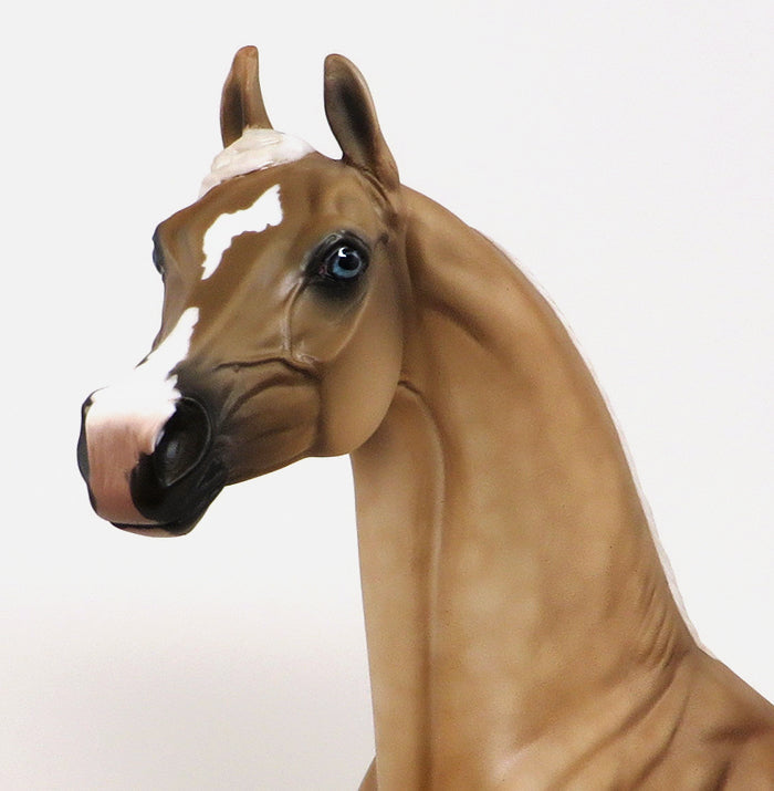 SPYRO - OOAK DAPPLE PALOMINO ARABIAN - 10/23