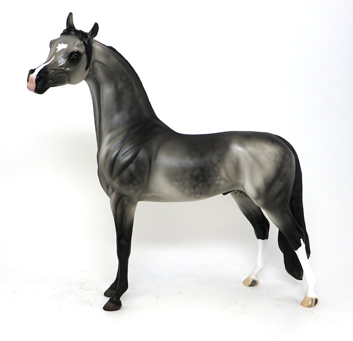 DASHA - OOAK DAPPLE GREY ARABIAN - 10/23
