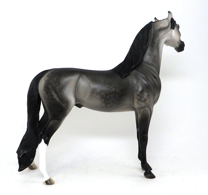 DASHA - OOAK DAPPLE GREY ARABIAN - 10/23