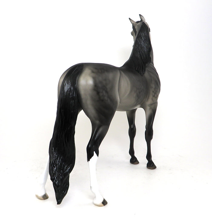 DASHA - OOAK DAPPLE GREY ARABIAN - 10/23