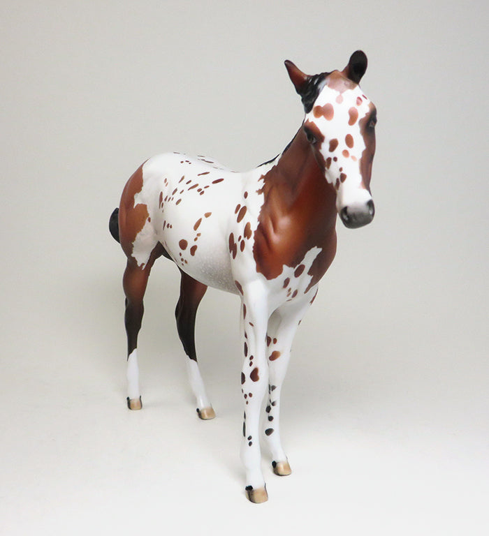 BOY OF MALARKEY - OOAK BAY APPALOOSA WEANLING MODEL HORSE - 2/12
