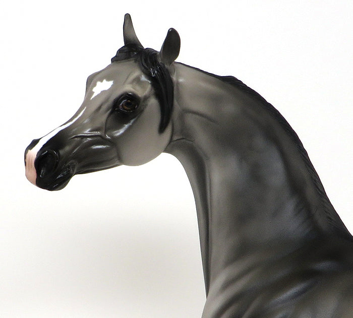 DASHA - OOAK DAPPLE GREY ARABIAN - 10/23