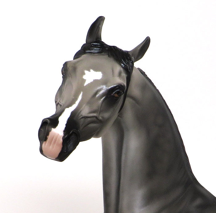 DASHA - OOAK DAPPLE GREY ARABIAN - 10/23