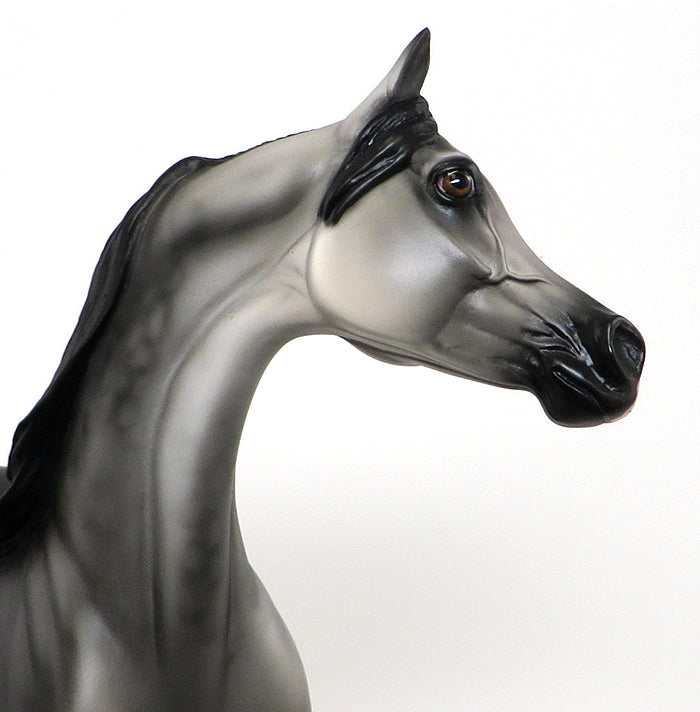 DASHA - OOAK DAPPLE GREY ARABIAN - 10/23