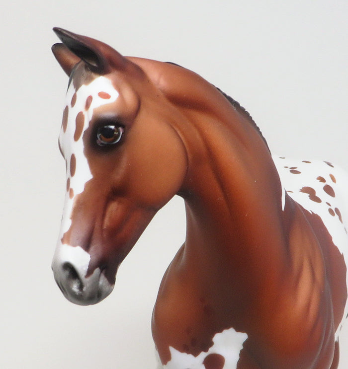 BOY OF MALARKEY - OOAK BAY APPALOOSA WEANLING MODEL HORSE - 2/12