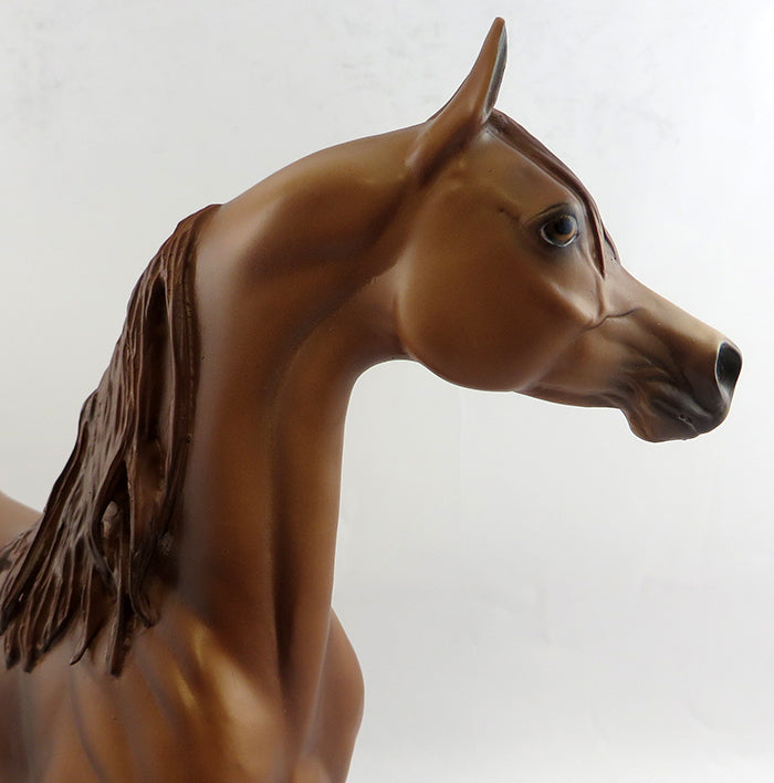 AMEN-OOAK CHESTNUT APPALOOSA ARABIAN MODEL HORSE 1/17