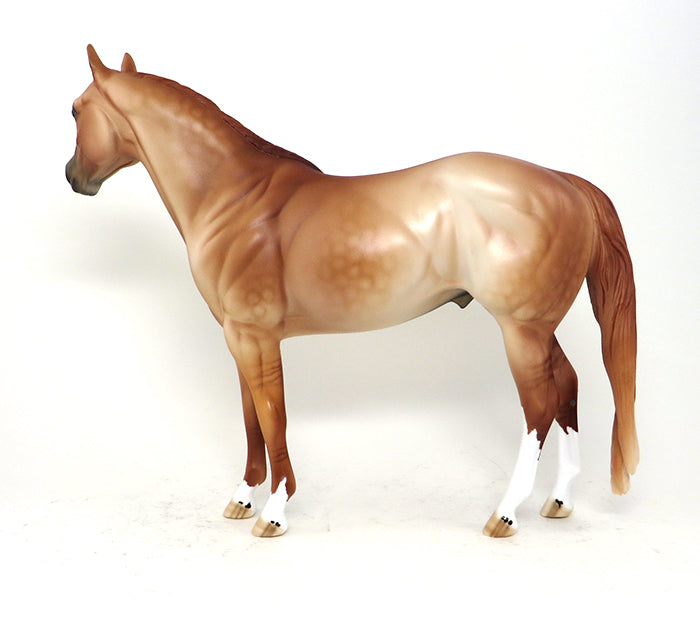 STEPPIN OUT - OOAK RED DUN ISH - 10/23