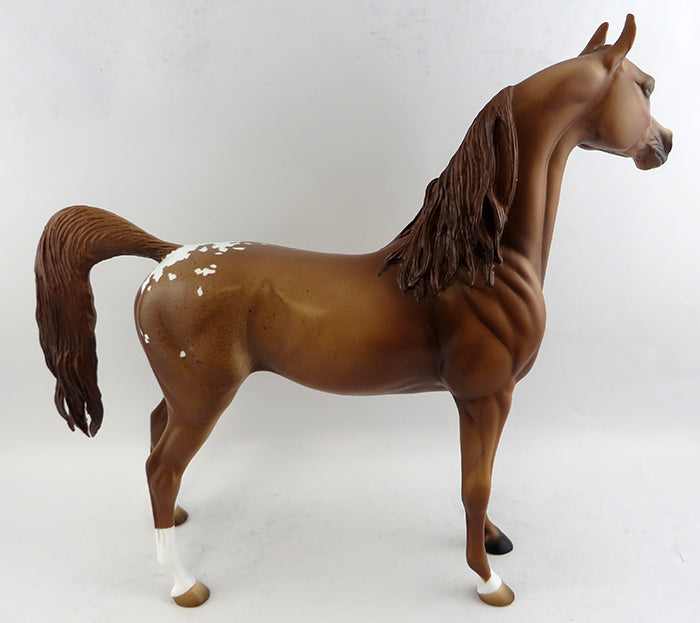 AMEN-OOAK CHESTNUT APPALOOSA ARABIAN MODEL HORSE 1/17