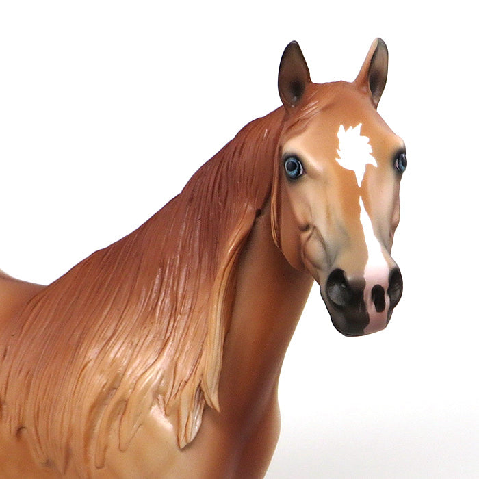 STEPPIN OUT - OOAK RED DUN ISH - 10/23