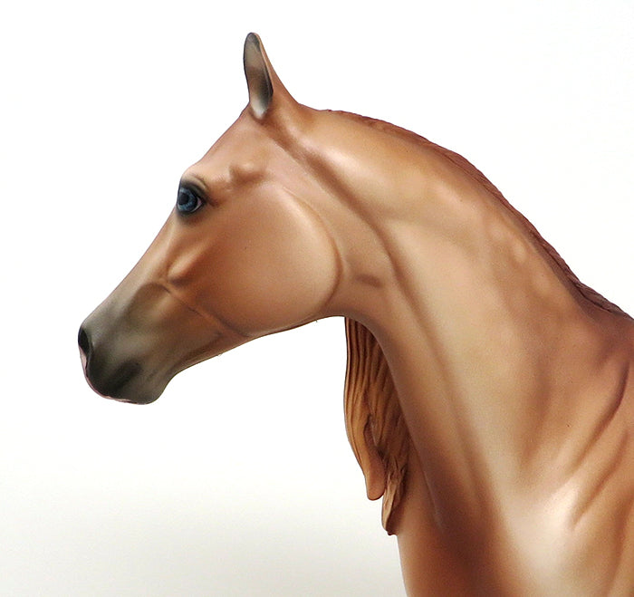 STEPPIN OUT - OOAK RED DUN ISH - 10/23