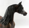 arabian