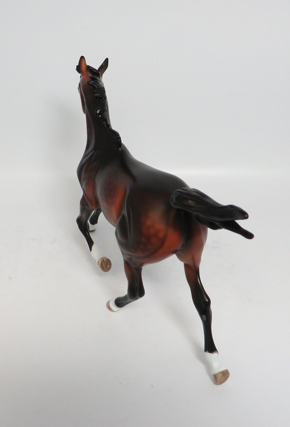 GOT THE NOTION - OOAK DAPPLE BAY YEARLING MODEL HORSE SUPER BOWL SALE 2018
