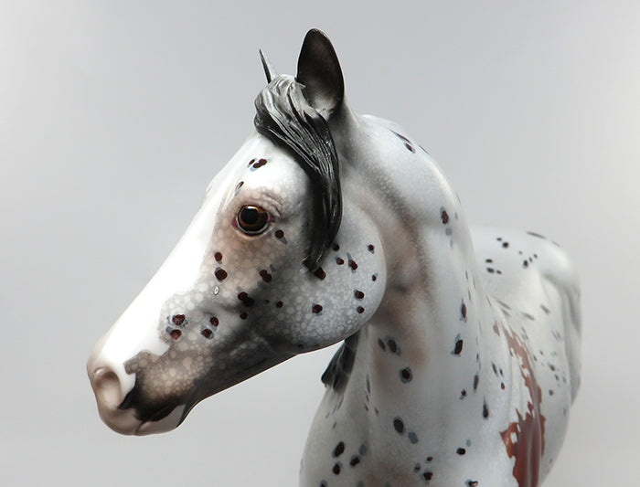 DURANGO-OOAK FROSTED BAY APPALOOSA ISH MODEL HORSE PAINTED &amp; SIGNED BY DAWN QUICK  8/11