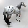 DURANGO-OOAK FROSTED BAY APPALOOSA ISH MODEL HORSE PAINTED &amp; SIGNED BY DAWN QUICK  8/11
