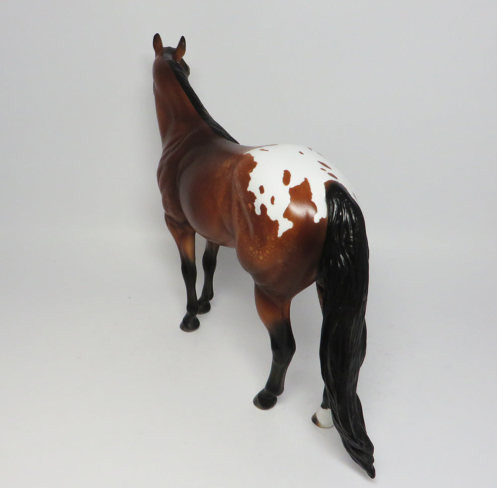 Appaloosa