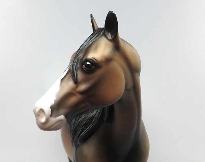 DOMNALL-OOAK SOOTY BUCKSKIN ISH MODEL HORSE Painted &amp; Signed by Dawn Quick 08/10