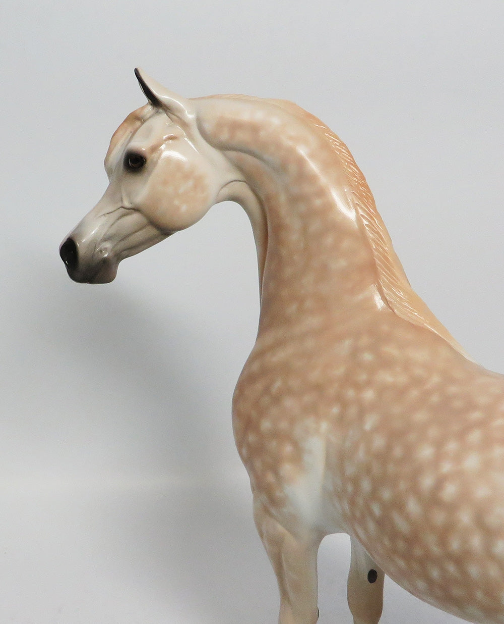 ULTERIOR MOTIVE - OOAK CHESTNUT GOING GREY ARABIAN MODEL HORSE SUPER BOWL 2018