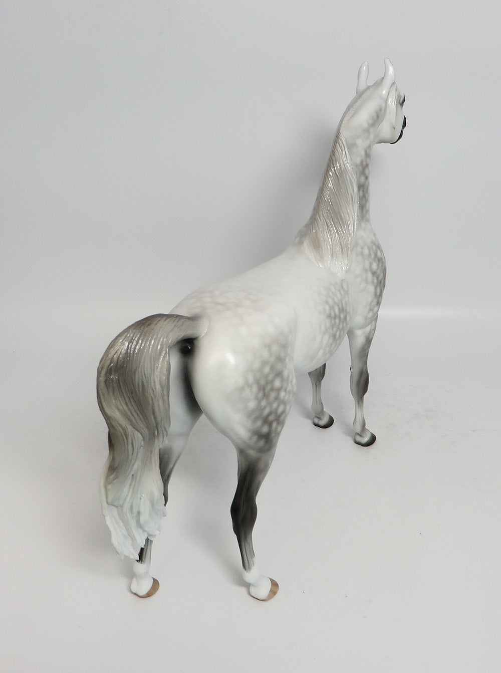 SHOT IN THE DARK - OOAK STAR DAPPLE GREY ARABIAN MODEL HORSE BY SHERYL LEISURE 1/19/18