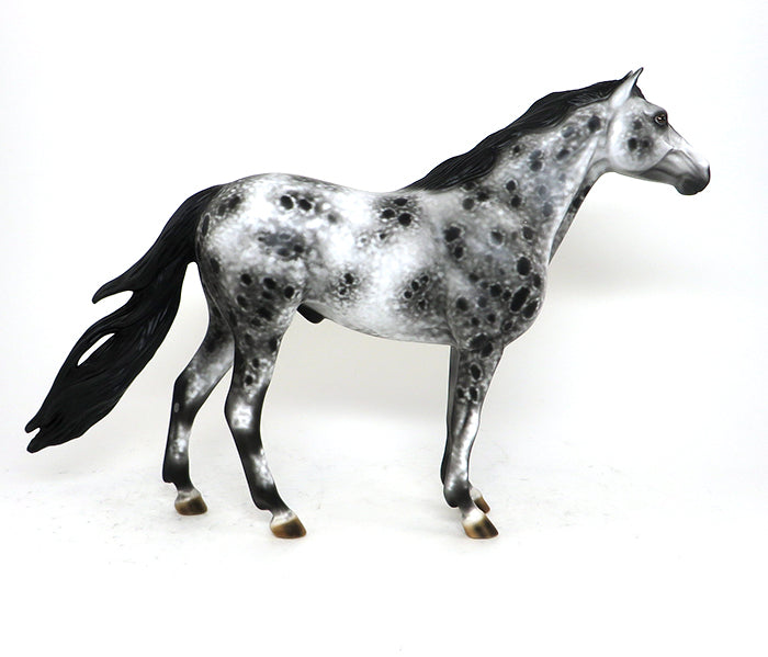 XANDER - OOAK BLACK AND WHITE APPALOOSA MUSTANG - 10/23